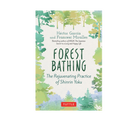 Forest Bathing: A Start Here Guide for Beginners - FERAL
