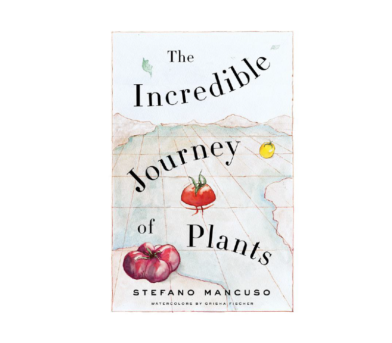 Incredible Journeys Book - FERAL