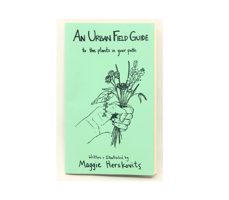 Urban Field Guide to the Plants in Your Path (Zine) - FERAL