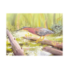 Birds of the West: An Artist's Guide, M. Hashimoto - FERAL