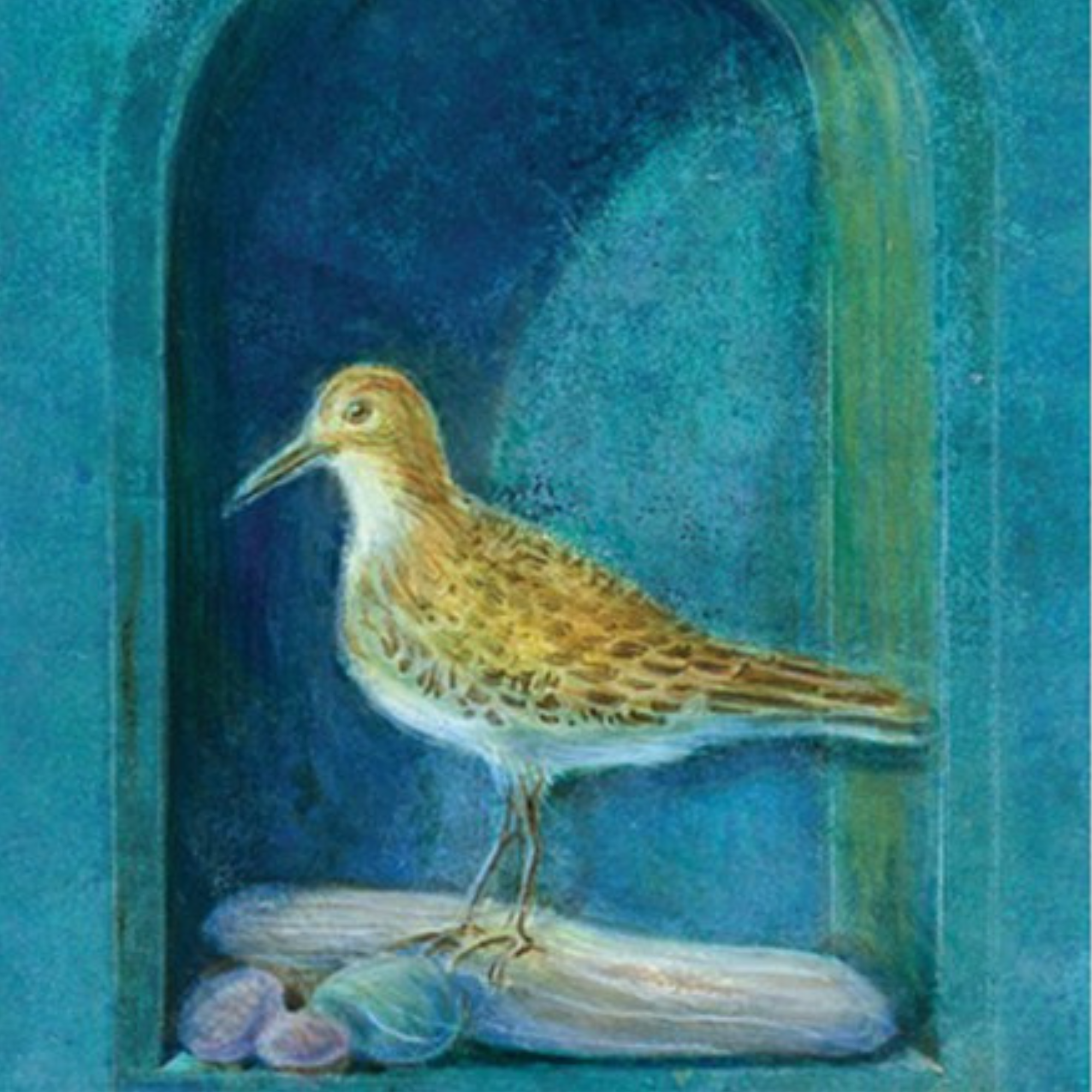 Birds of the West: An Artist's Guide, M. Hashimoto - FERAL