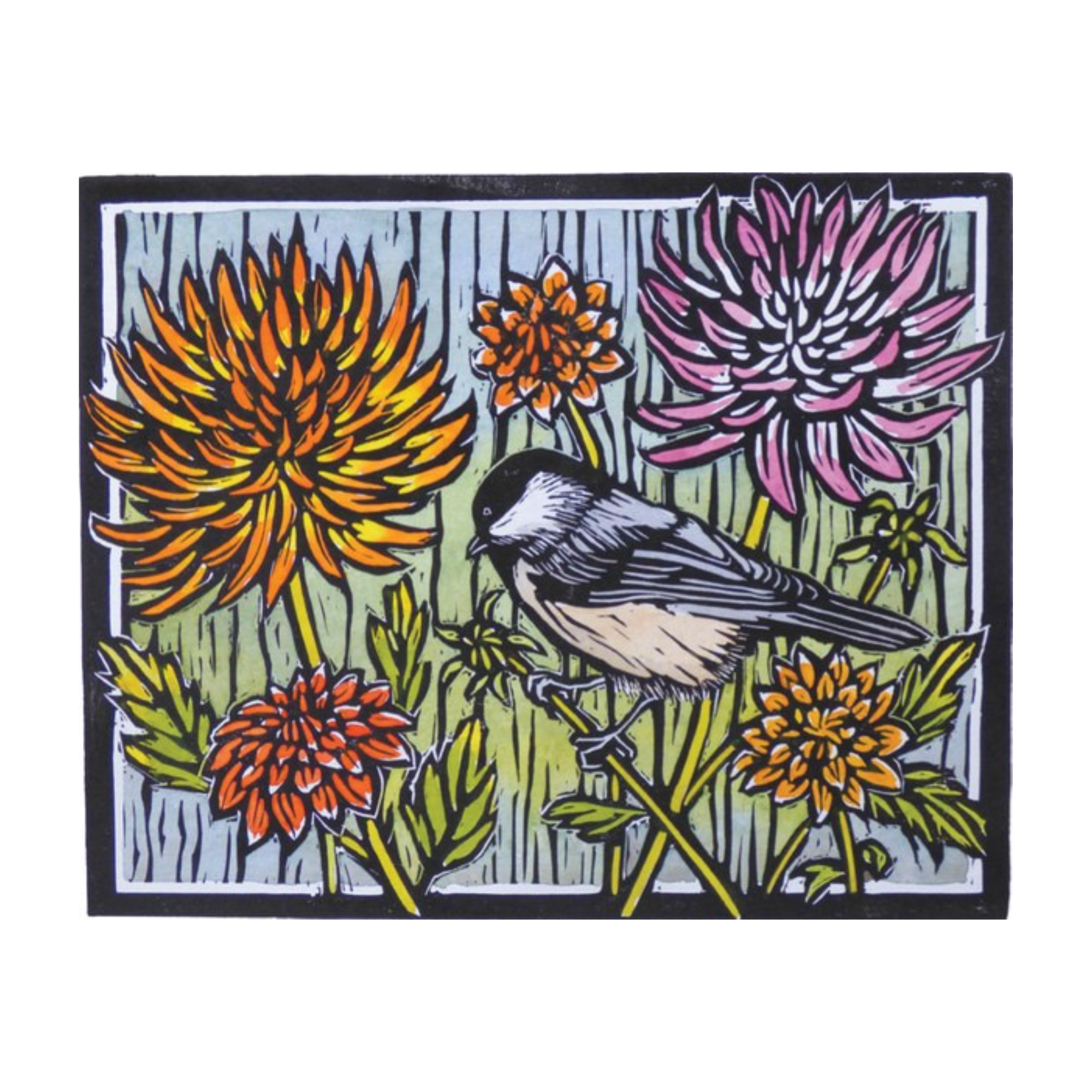 Birds of the West: An Artist's Guide, M. Hashimoto - FERAL