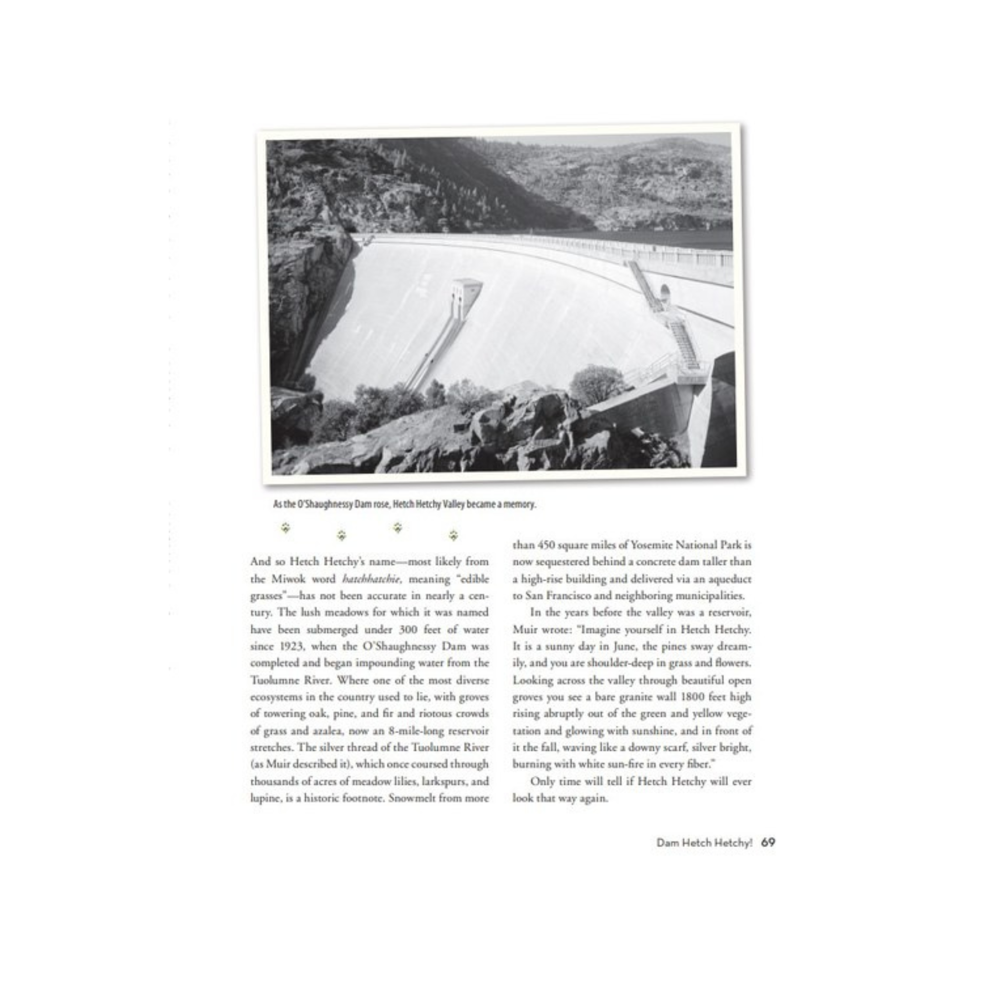Prophets & Moguls, Rangers & Rogues, Bison & Bears Book - FERAL
