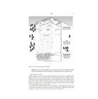 Staying Alive in Avalanche Terrain Book - 3rd Edition - FERAL