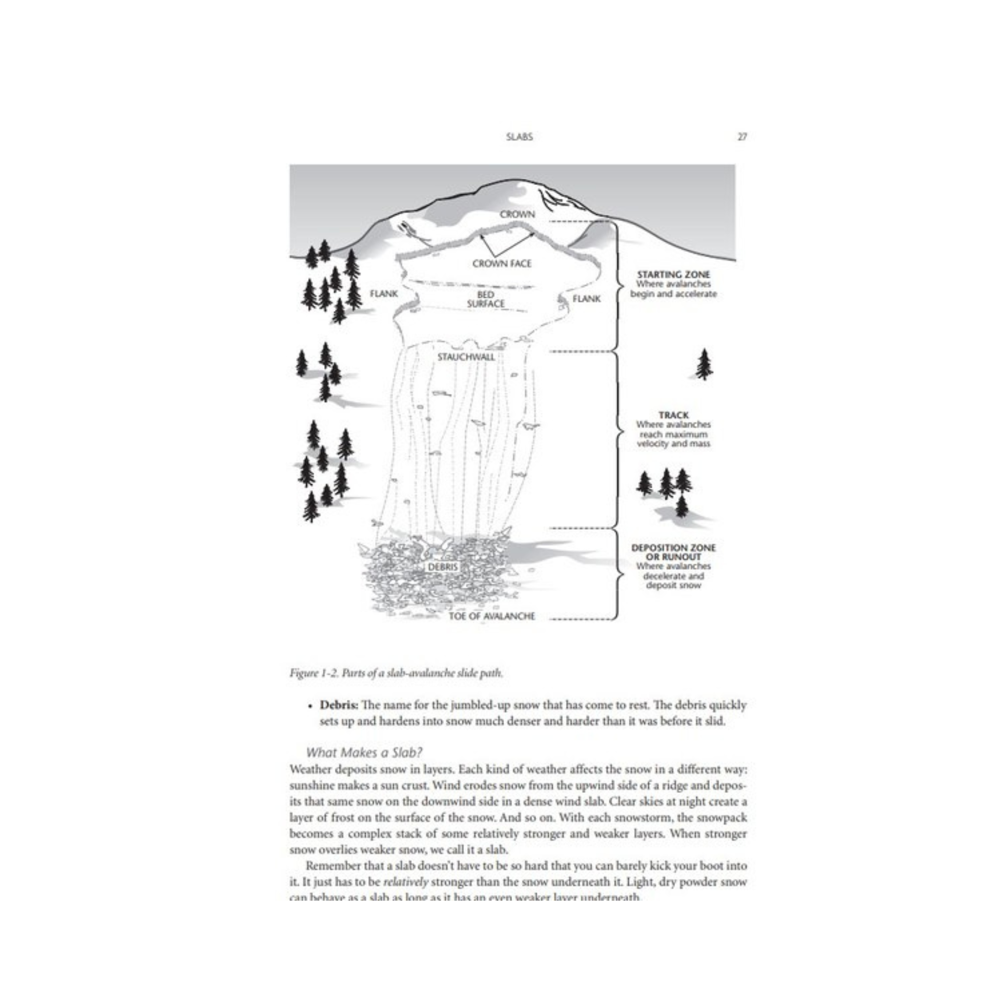Staying Alive in Avalanche Terrain Book - 3rd Edition - FERAL