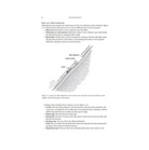 Staying Alive in Avalanche Terrain Book - 3rd Edition - FERAL