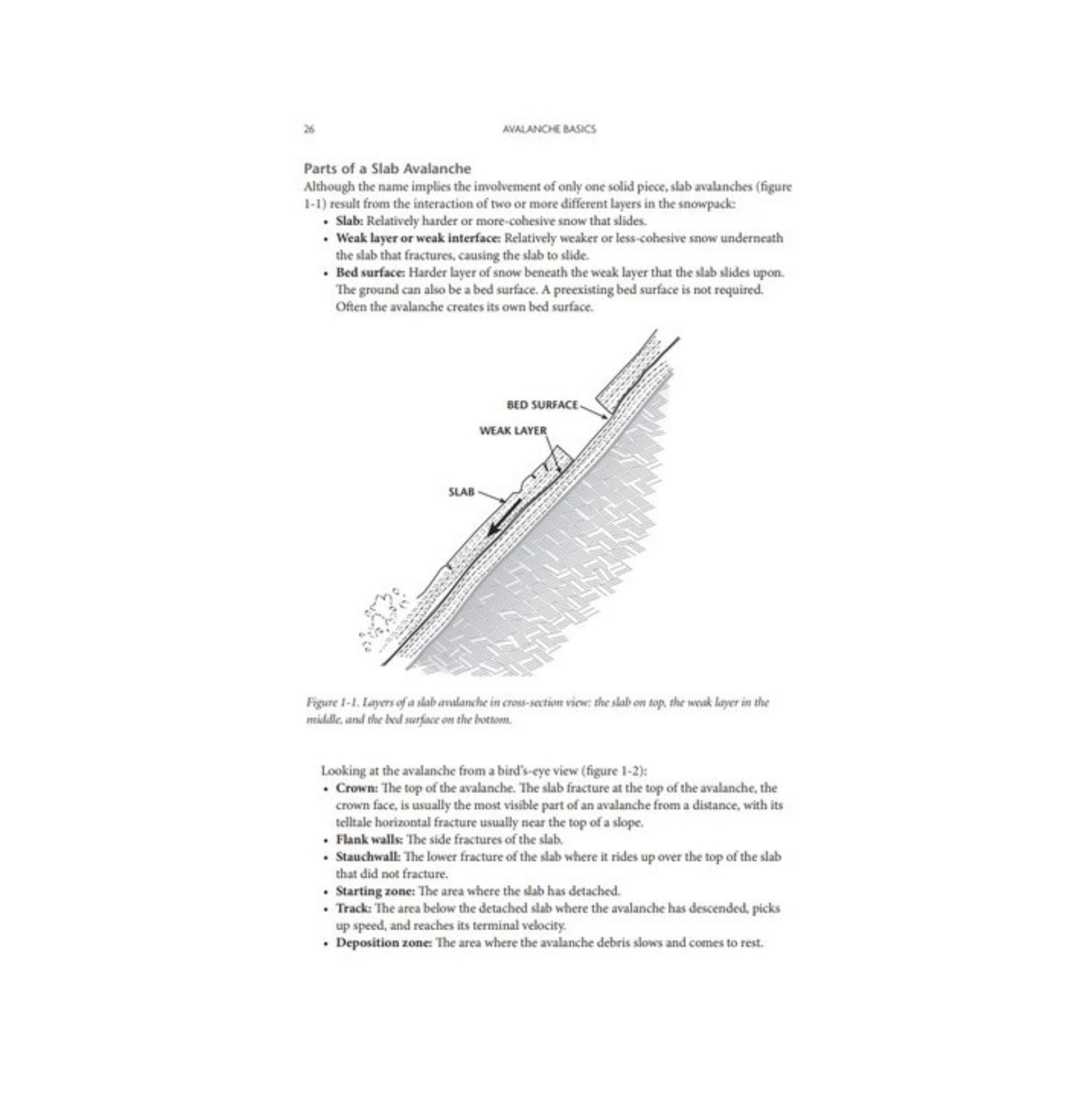 Staying Alive in Avalanche Terrain Book - 3rd Edition - FERAL
