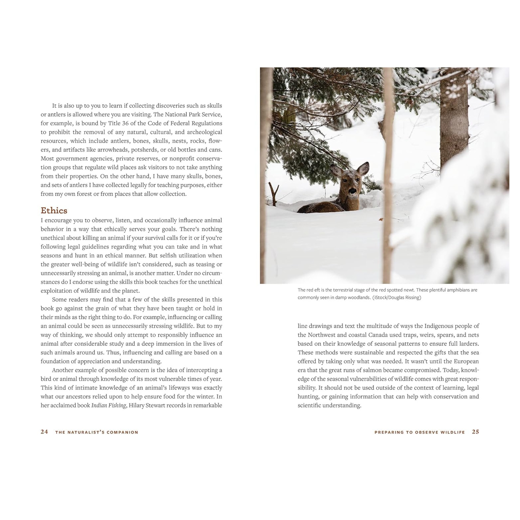 The Naturalist's Companion: A Field Guide to Observing and Understanding Wildlife Book - FERAL