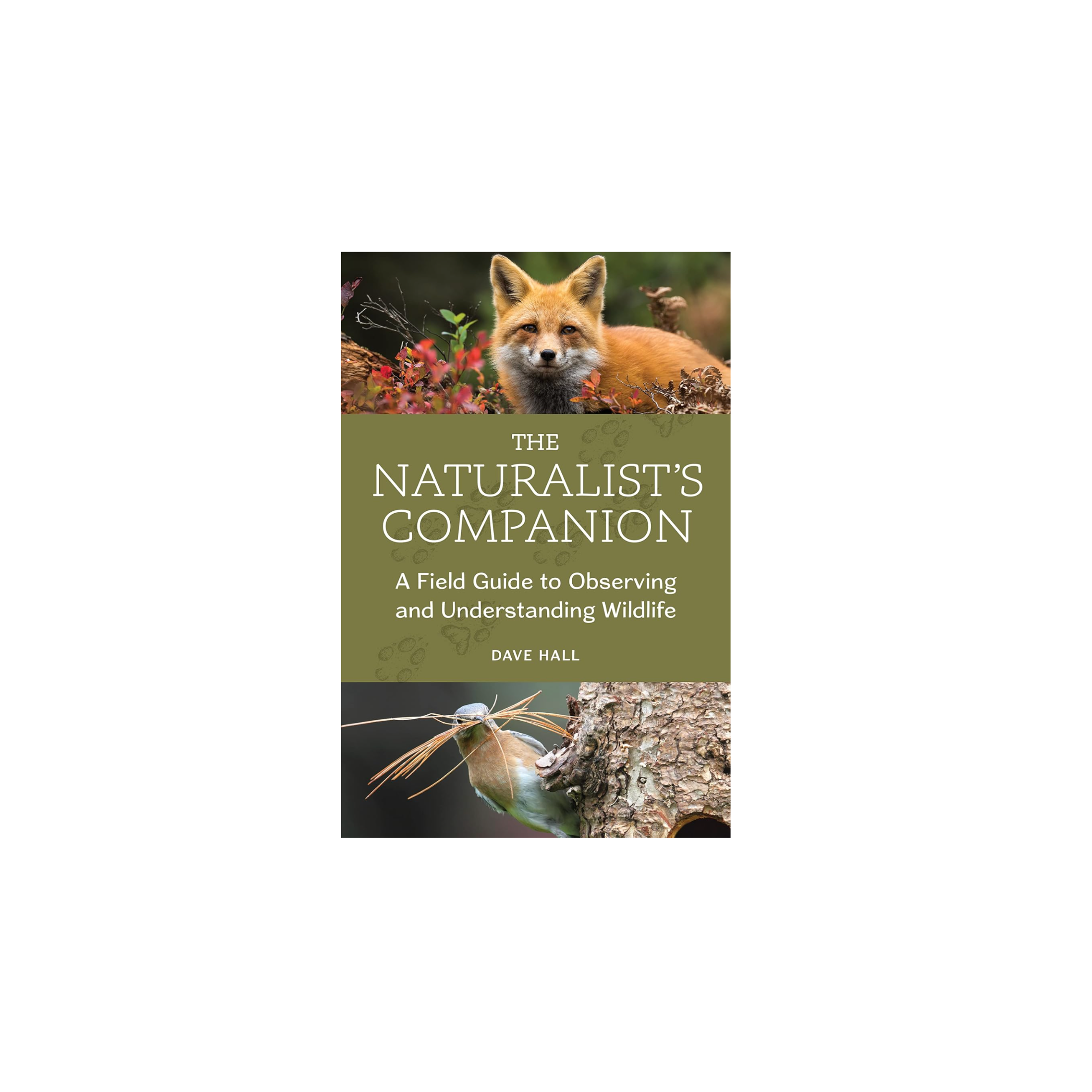 The Naturalist's Companion: A Field Guide to Observing and Understanding Wildlife Book - FERAL