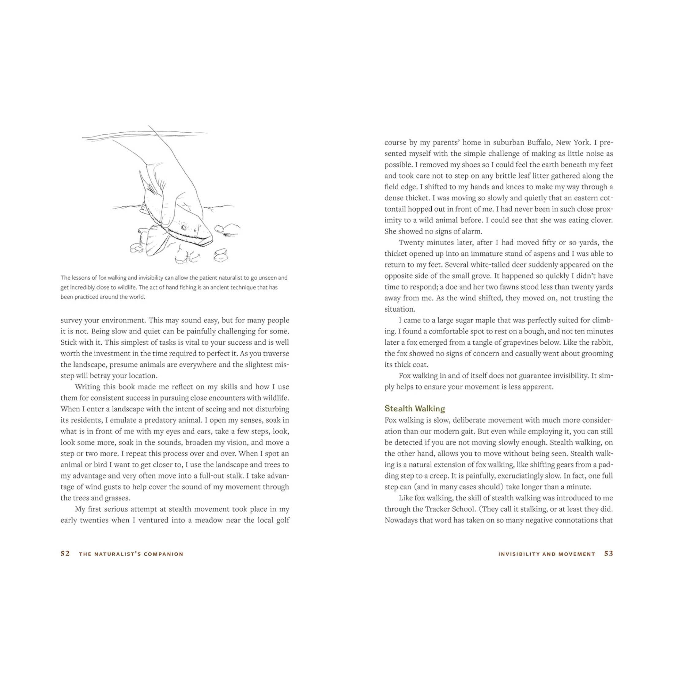 The Naturalist's Companion: A Field Guide to Observing and Understanding Wildlife Book - FERAL