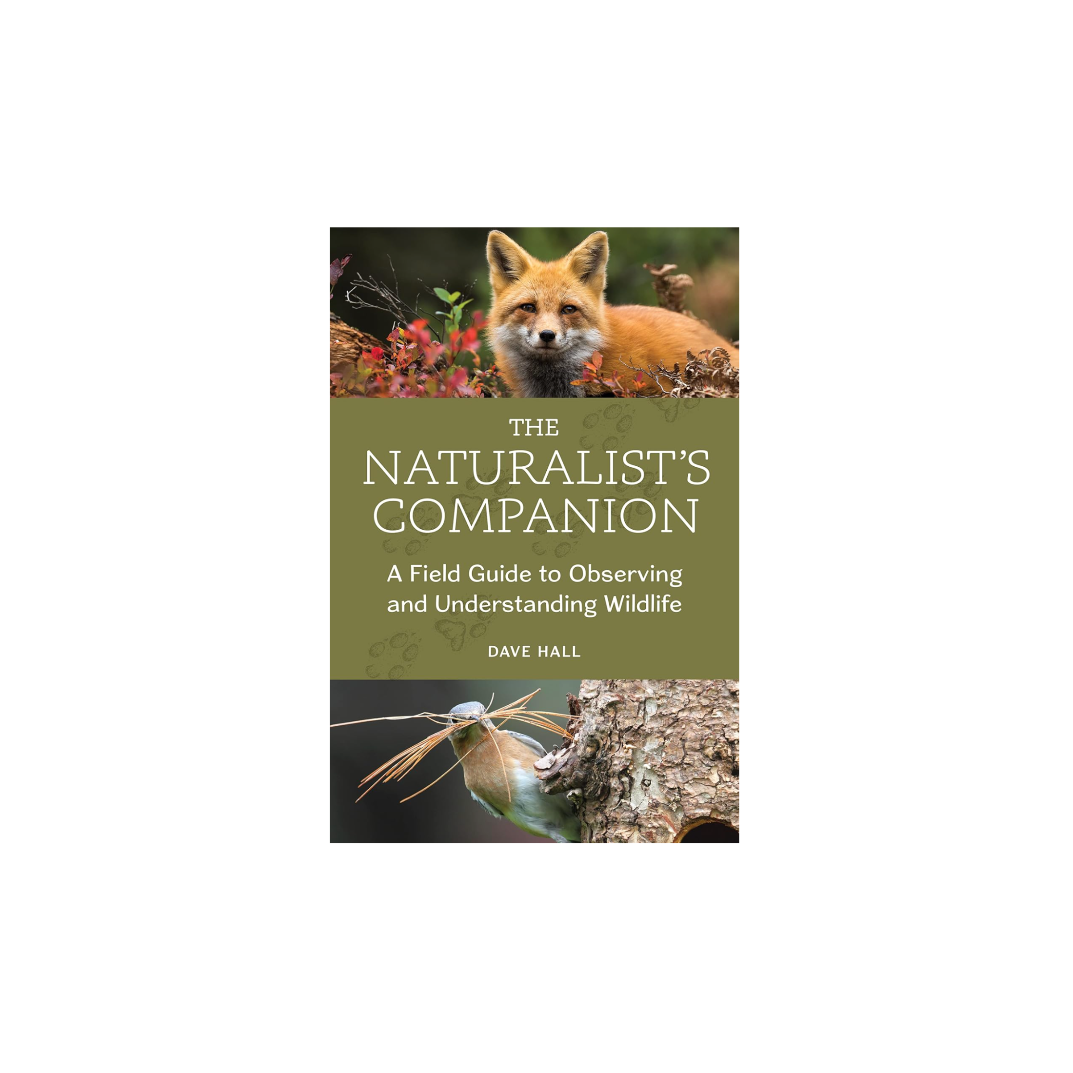 The Naturalist's Companion: A Field Guide to Observing and Understanding Wildlife Book - FERAL