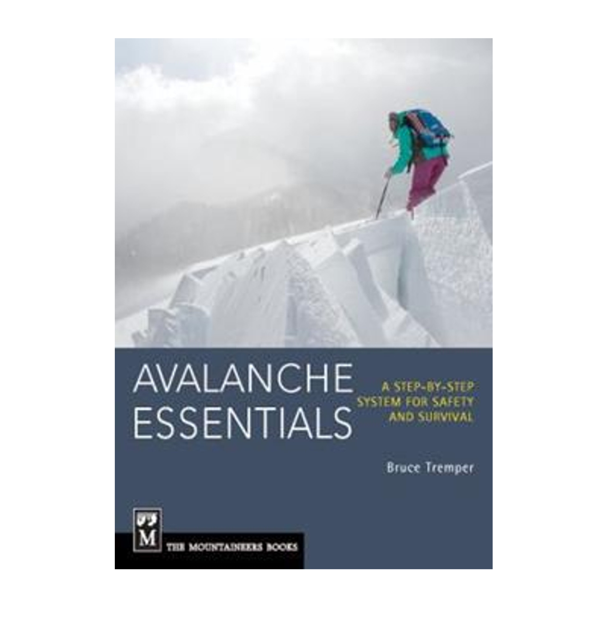Avalanche Essentials Book - FERAL