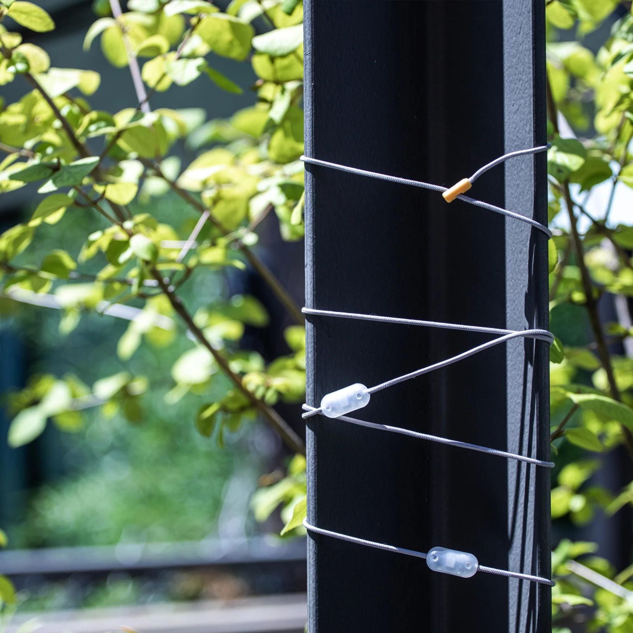 MPOWERD Luci Color Solar String Lights - FERAL