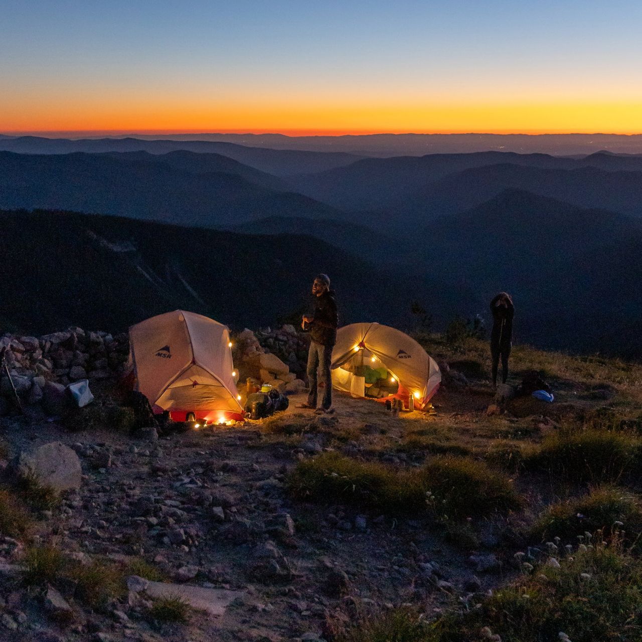 MPOWERD Luci Solar String Lights - FERAL