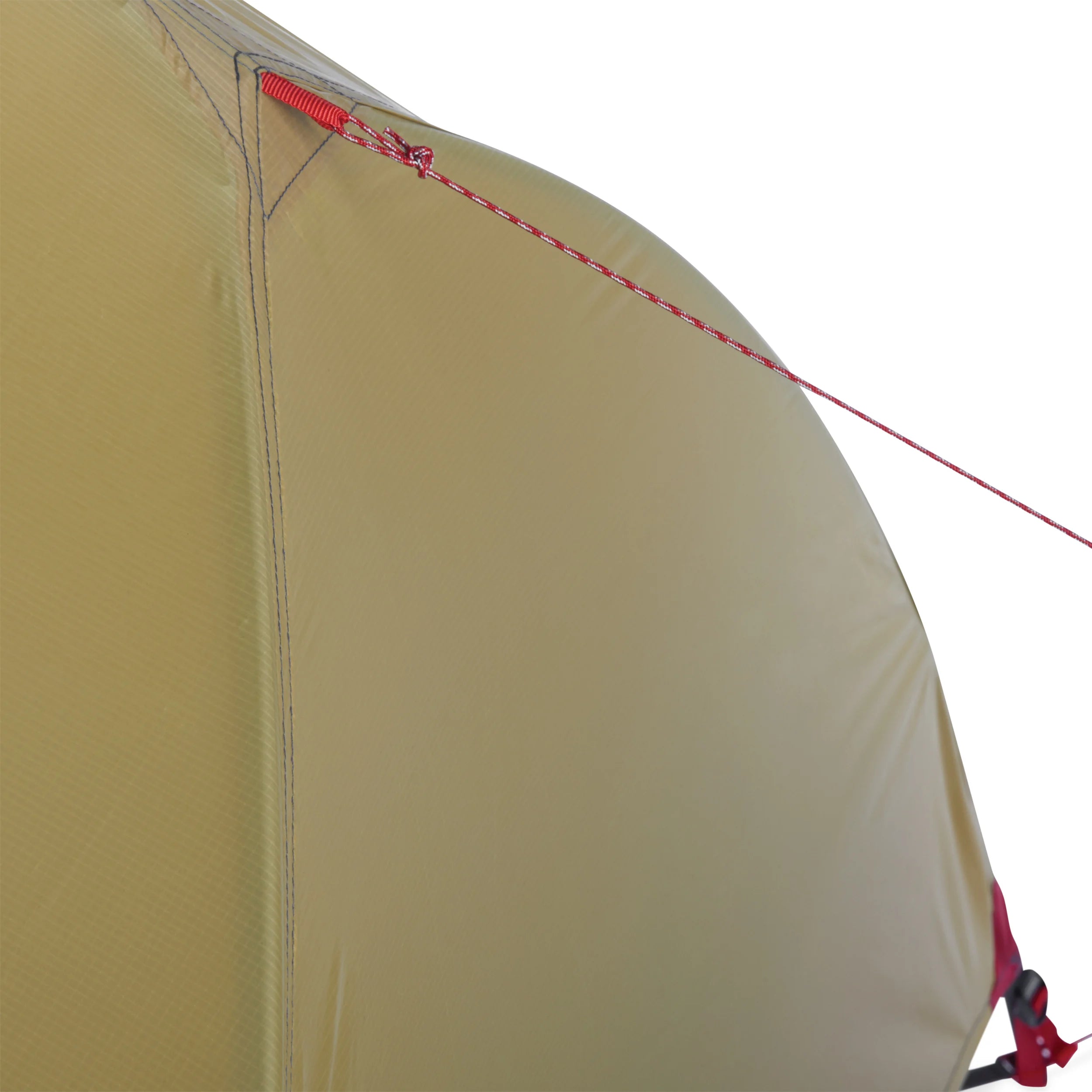 MSR Hubba Hubba 2 Person Backpacking Tent - FERAL