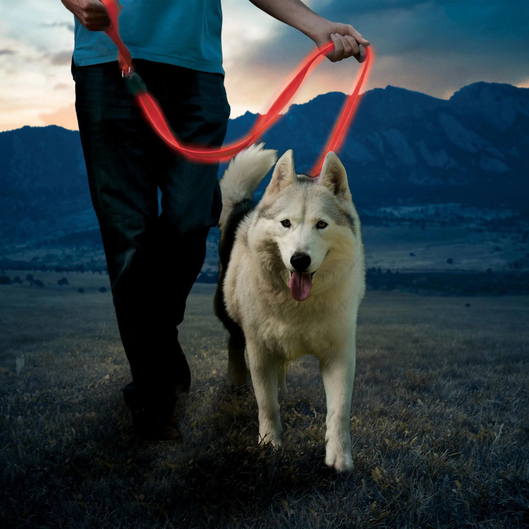 Nite Ize Nitedog Rechargeable LED Dog Leash - FERAL