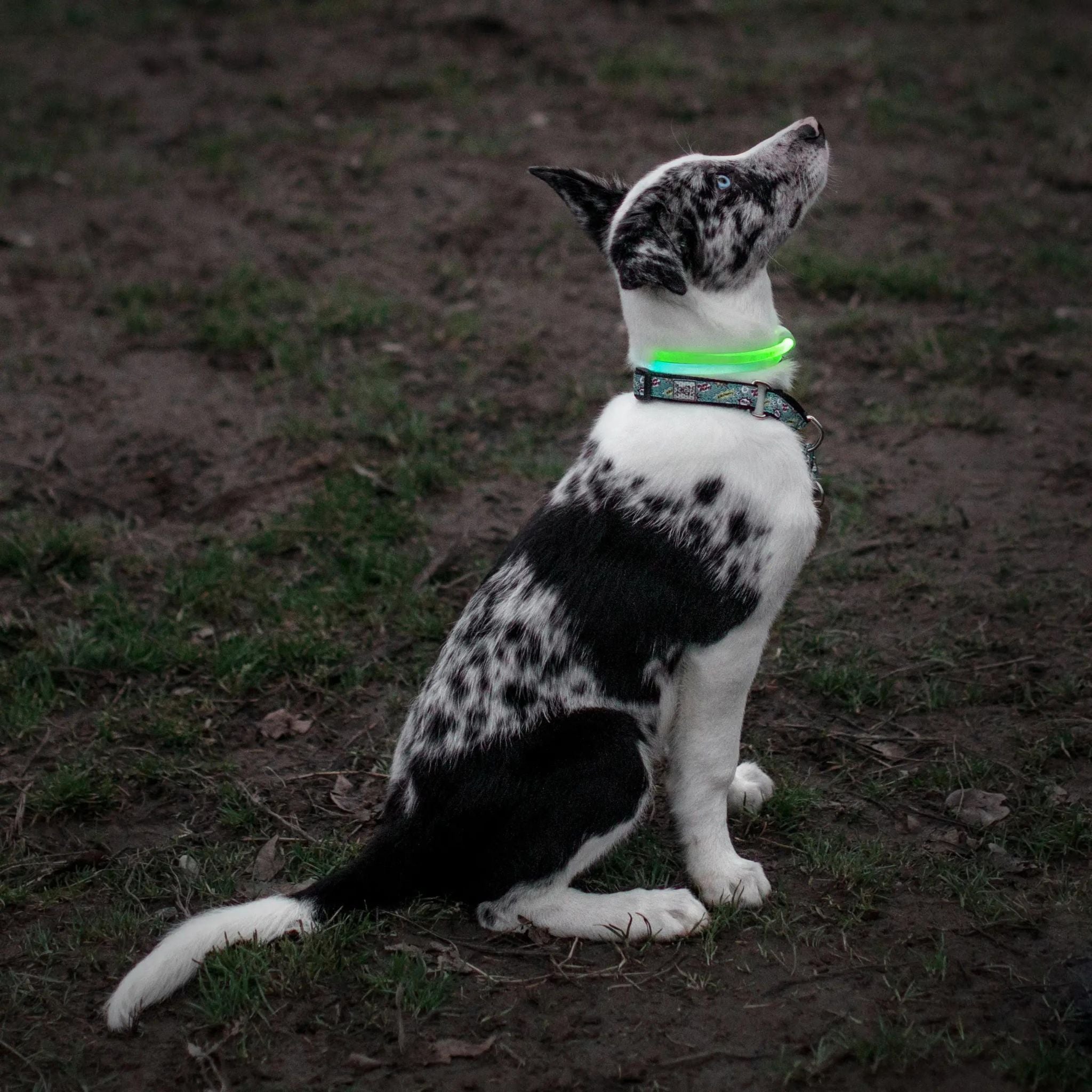 Nite Ize NiteHowl LED Safety Necklace - FERAL