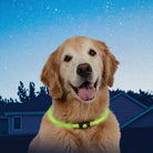 Nite Ize NiteHowl LED Safety Necklace - FERAL