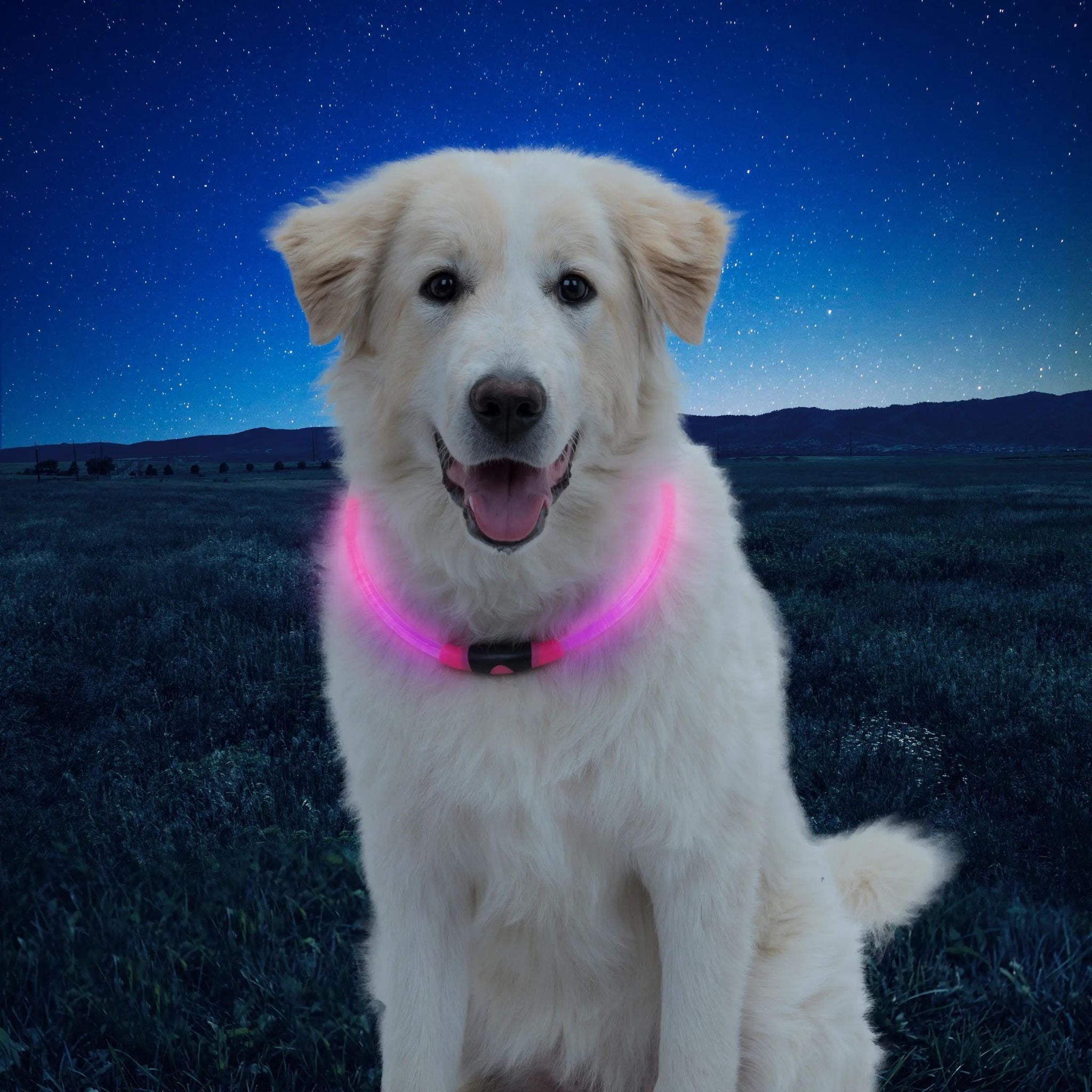 Nite Ize NiteHowl LED Safety Necklace - FERAL
