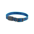 Nite Ize NiteDog Rechargeable LED Collar - FERAL