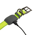 Nite Ize NiteDog Rechargeable LED Collar - FERAL