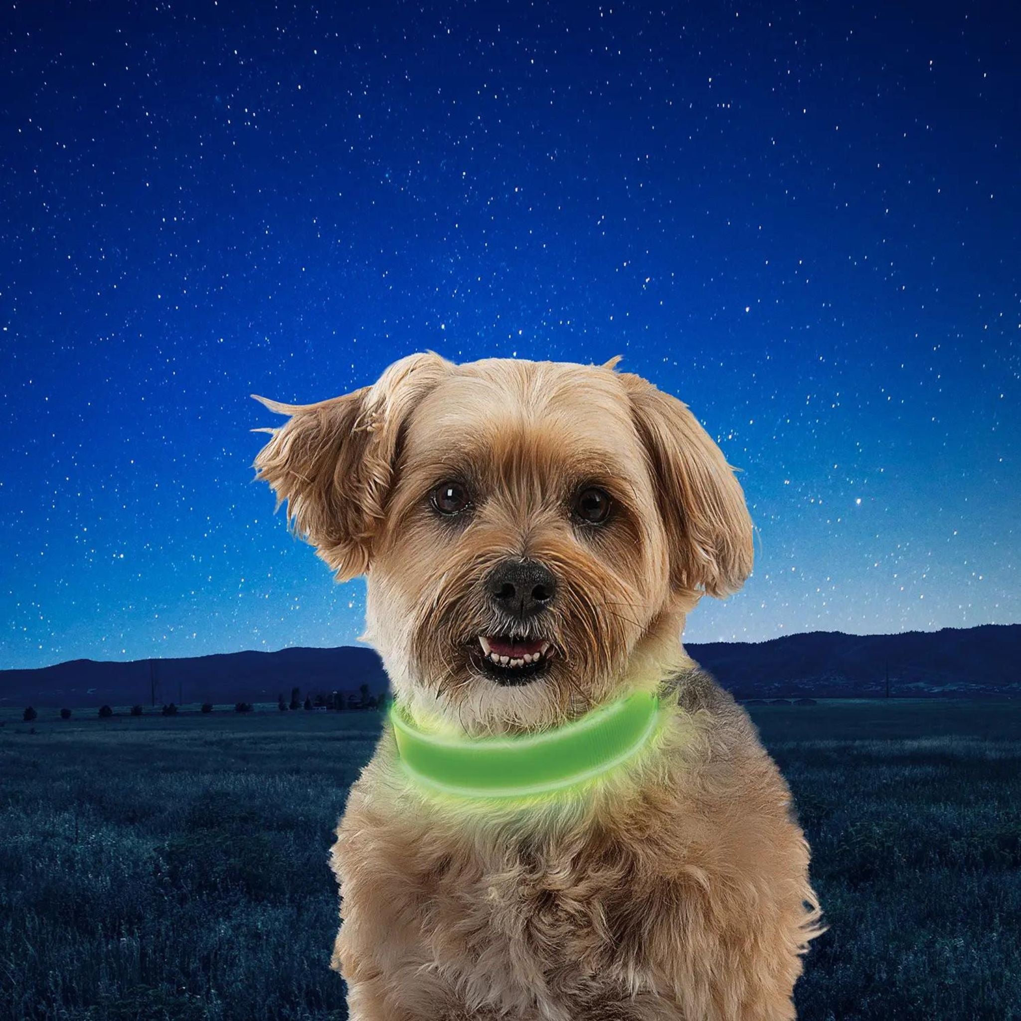 Nite Ize NiteDog Rechargeable LED Collar - FERAL