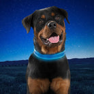 Nite Ize NiteDog Rechargeable LED Collar - FERAL