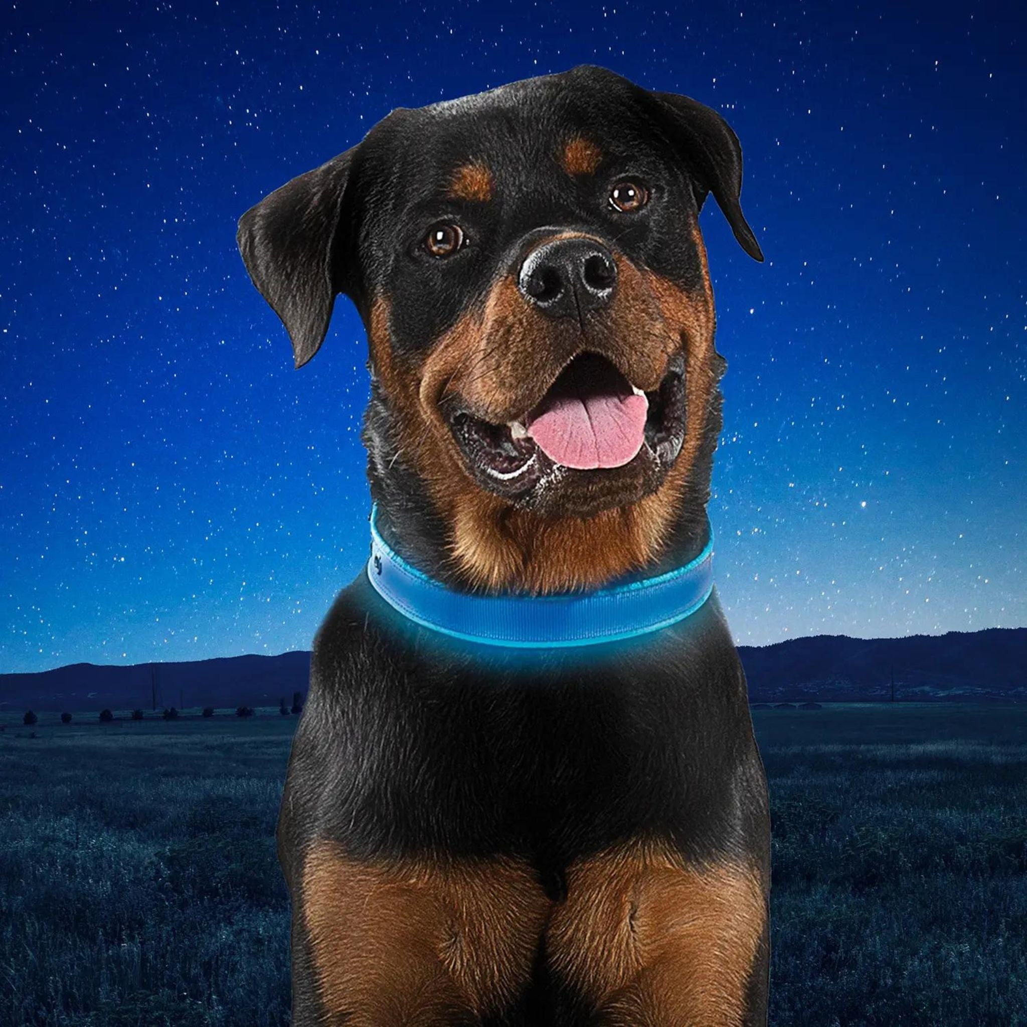 Nite Ize NiteDog Rechargeable LED Collar - FERAL