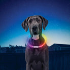 Nite Ize NiteHowl Rechargeable LED Safety Necklace - FERAL