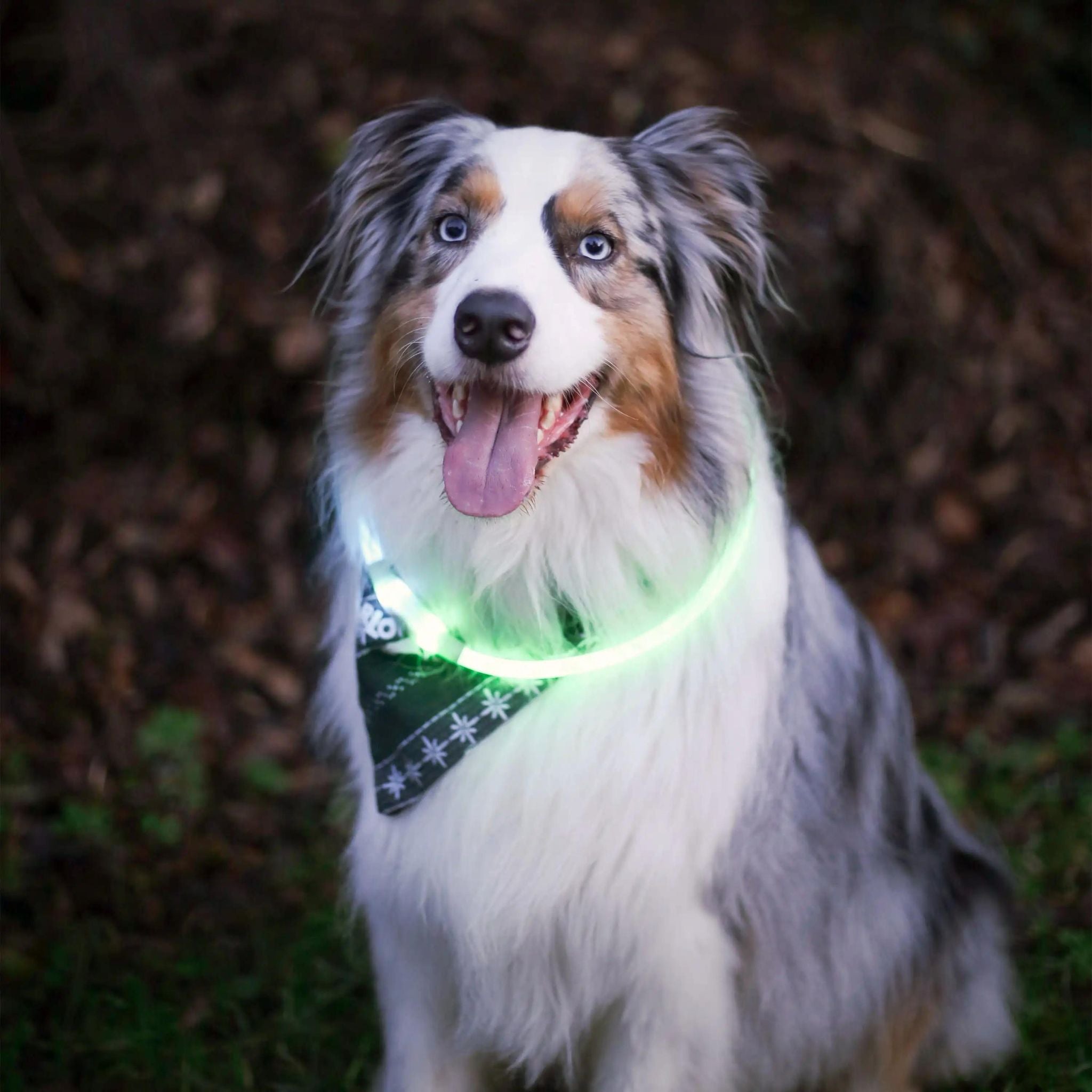 Nite Ize NiteHowl Rechargeable LED Safety Necklace - FERAL