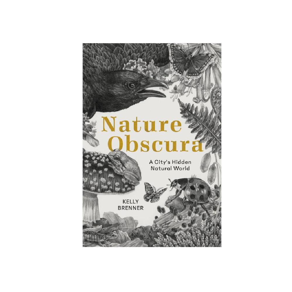Nature Obscura: A City's Hidden Natural World Book - FERAL