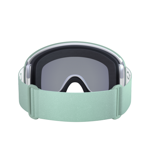 POC Orb Clarity Ski Goggles - FERAL
