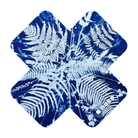 NoSo Polypodiophyta by Kellie Swanson Patch - FERAL