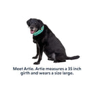 Ruffwear Swamp Cooler Cooling Dog Neck Gaiter - FERAL