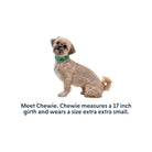 Ruffwear Swamp Cooler Cooling Dog Neck Gaiter - FERAL