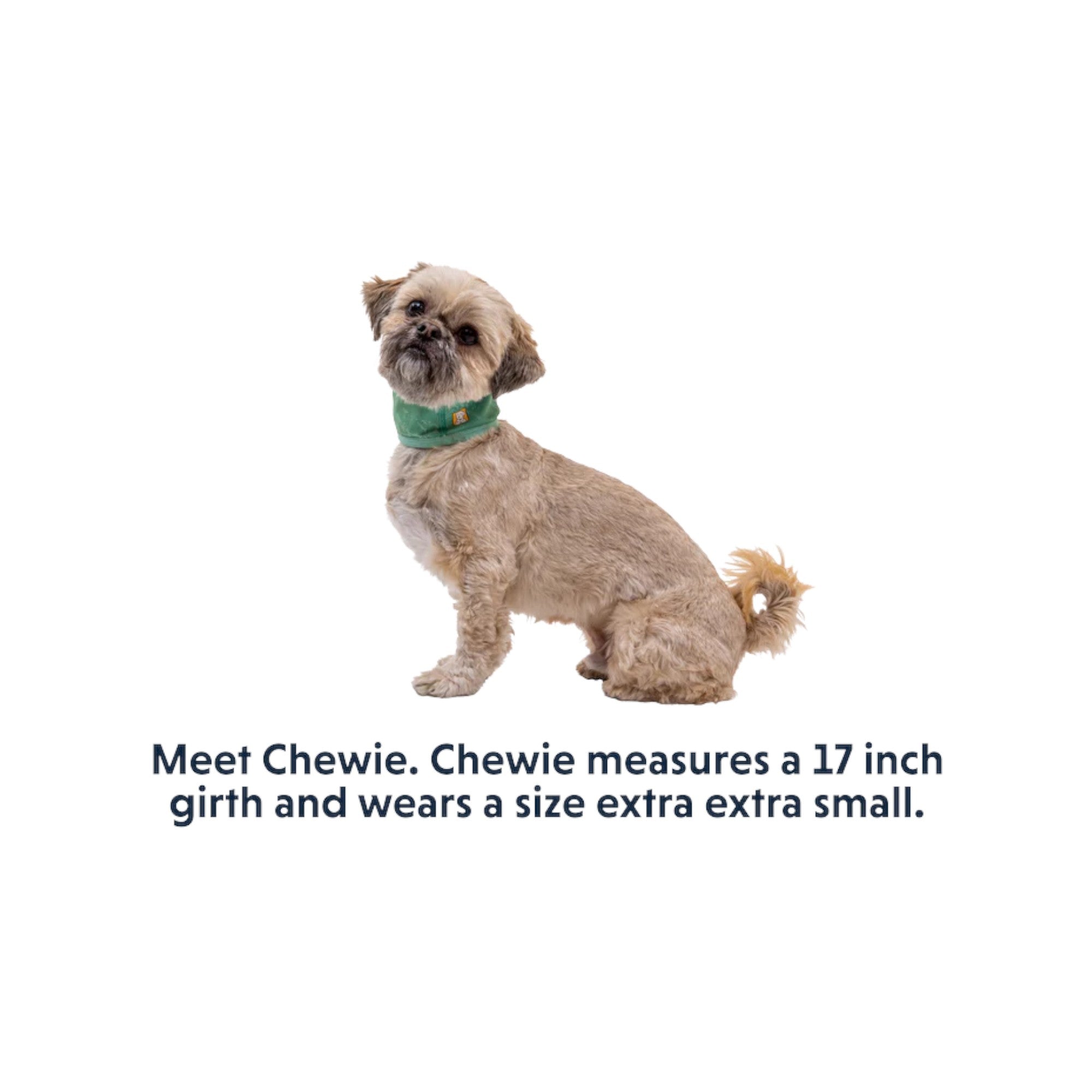 Ruffwear Swamp Cooler Cooling Dog Neck Gaiter - FERAL