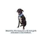 Ruffwear Swamp Cooler Cooling Dog Neck Gaiter - FERAL