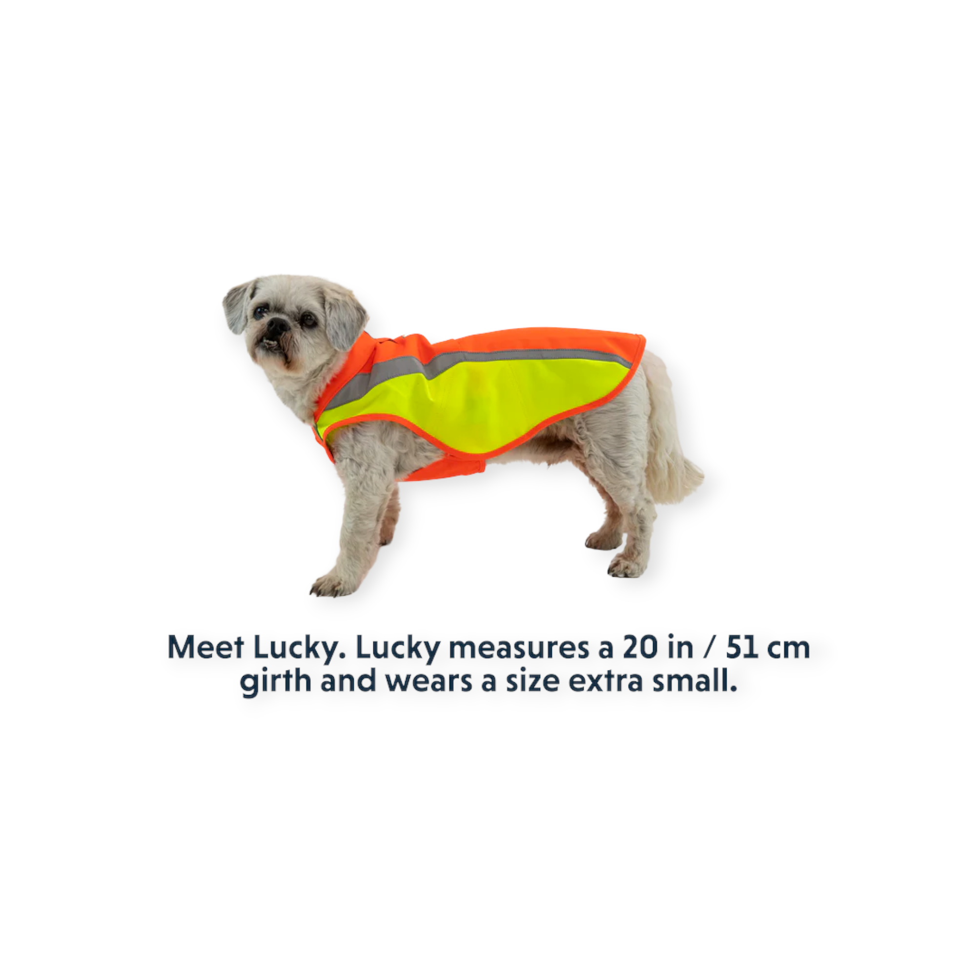 Ruffwear Lumenglow Reflective High-Visibility Dog Jacket - FERAL