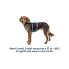 Ruffwear Flagline Dog Harness - FERAL