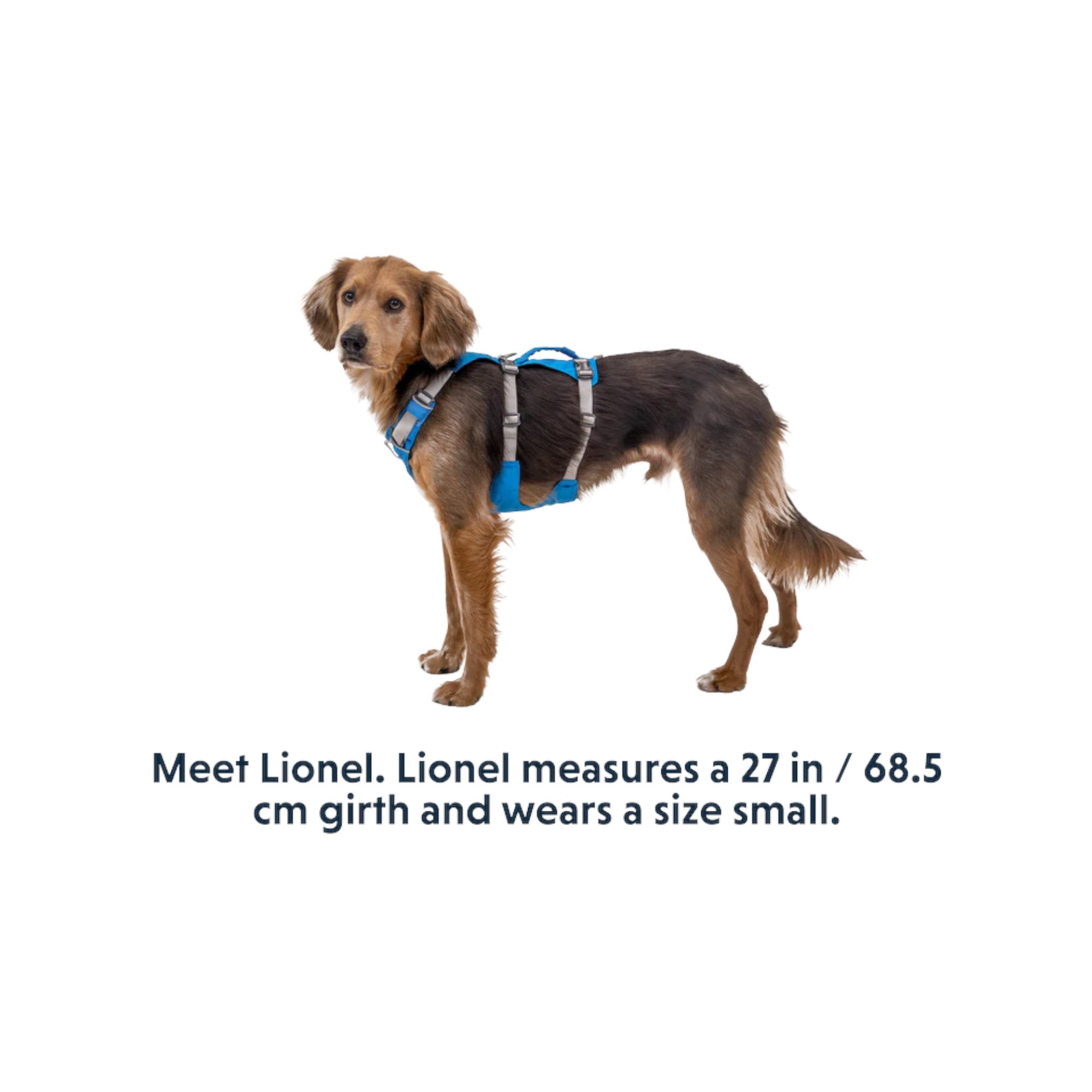 Ruffwear Flagline Dog Harness - FERAL