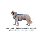 Ruffwear Flagline Dog Harness - FERAL