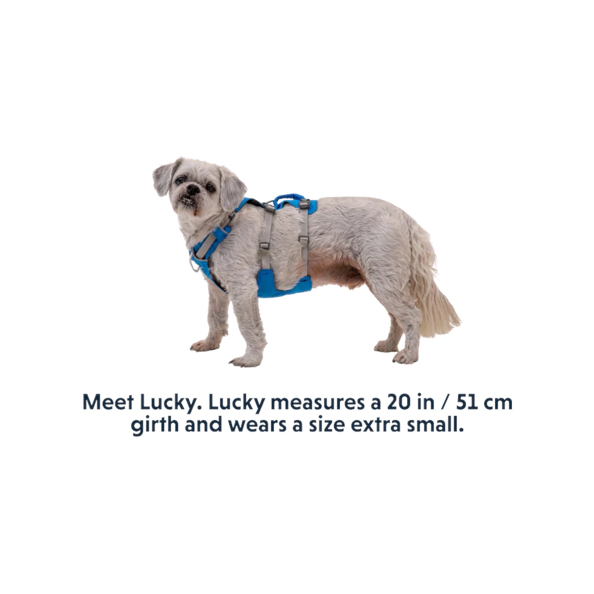 Ruffwear Flagline Dog Harness - FERAL