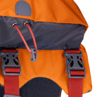 Ruffwear Approach Dog Backpack - FERAL