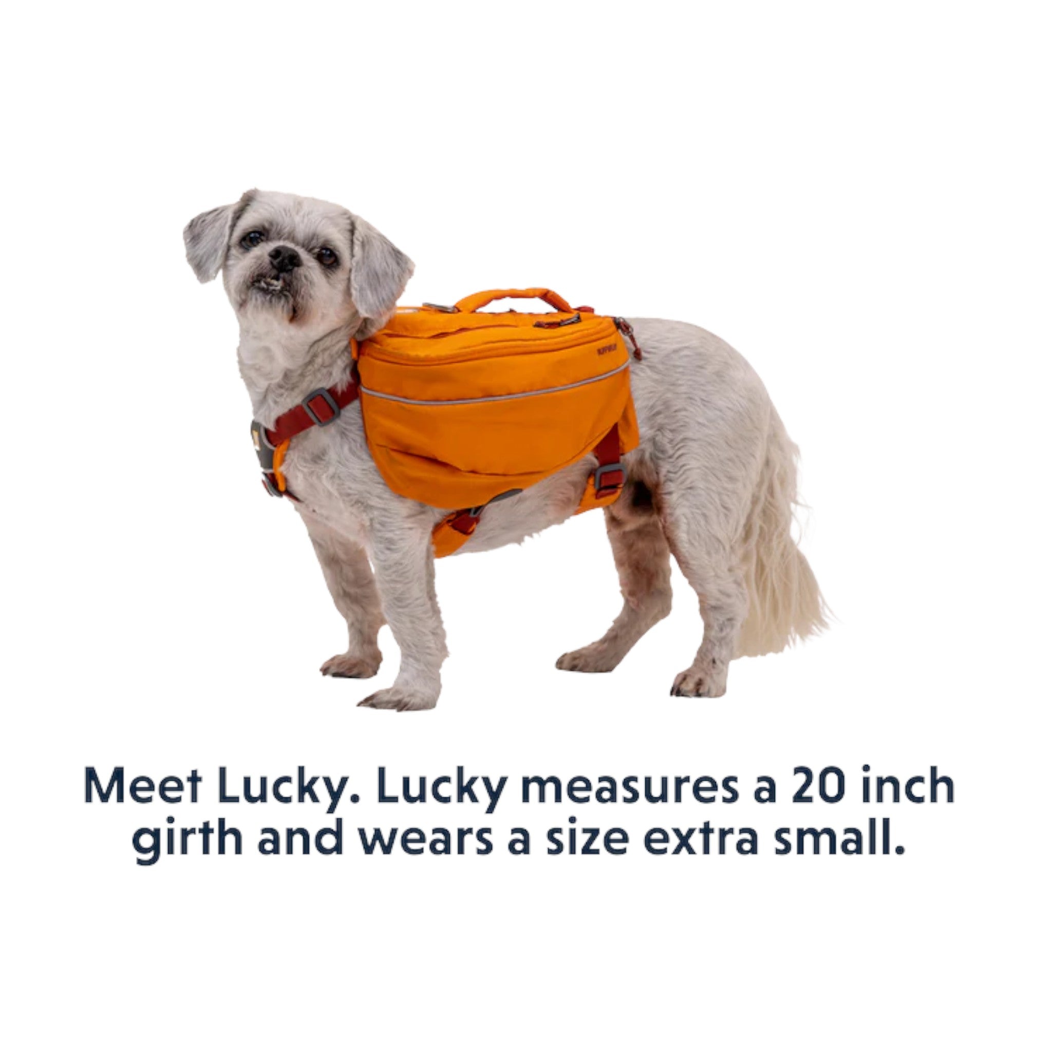 Ruffwear Approach Dog Backpack - FERAL