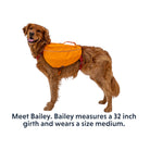 Ruffwear Approach Dog Backpack - FERAL