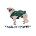 Ruffwear Overcoat Fuse Dog Jacket-Harness Combo - FERAL