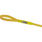Ruffwear Hi & Light Lightweight Dog Leash - FERAL