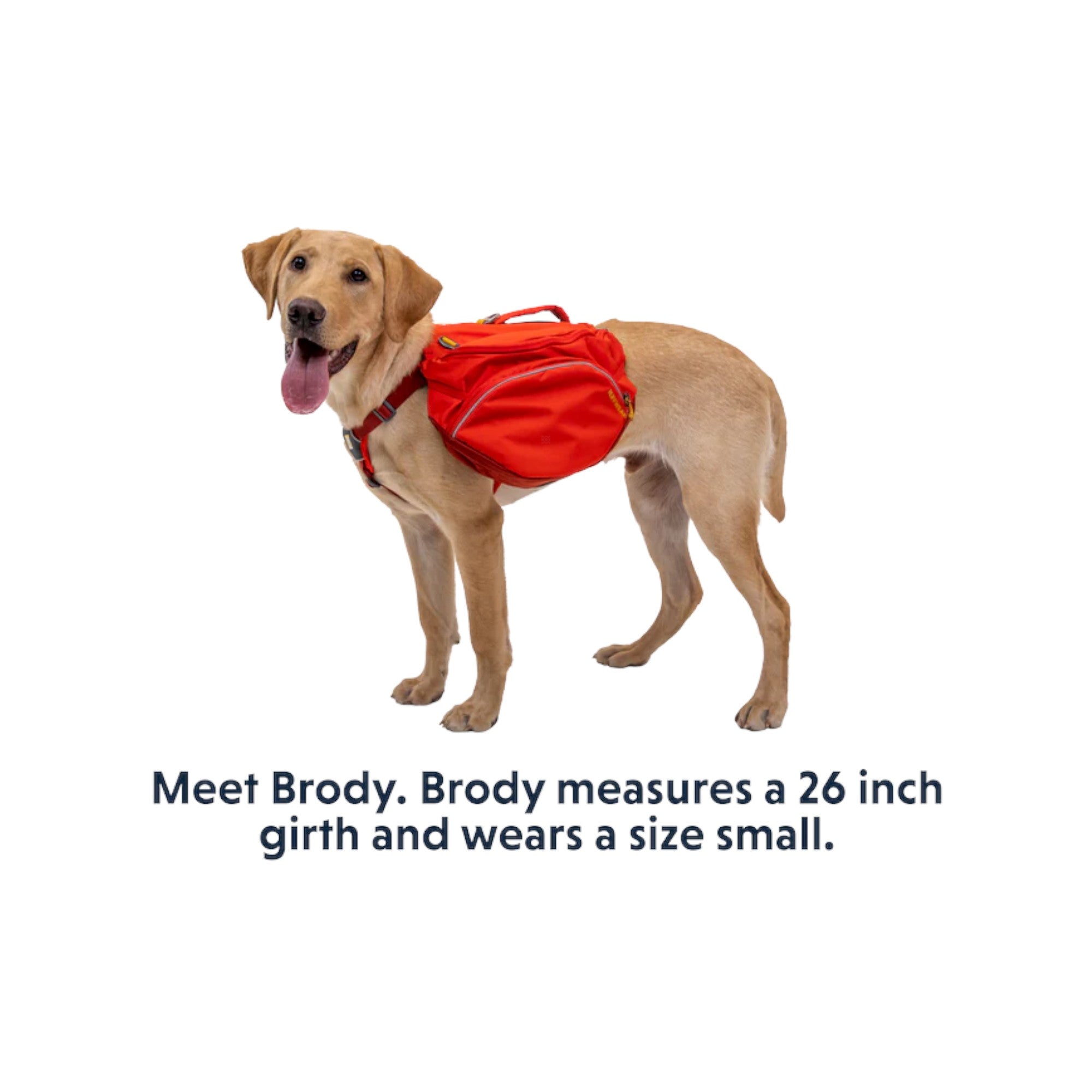 Ruffwear Palisades Dog Backpack - FERAL