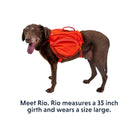 Ruffwear Palisades Dog Backpack - FERAL