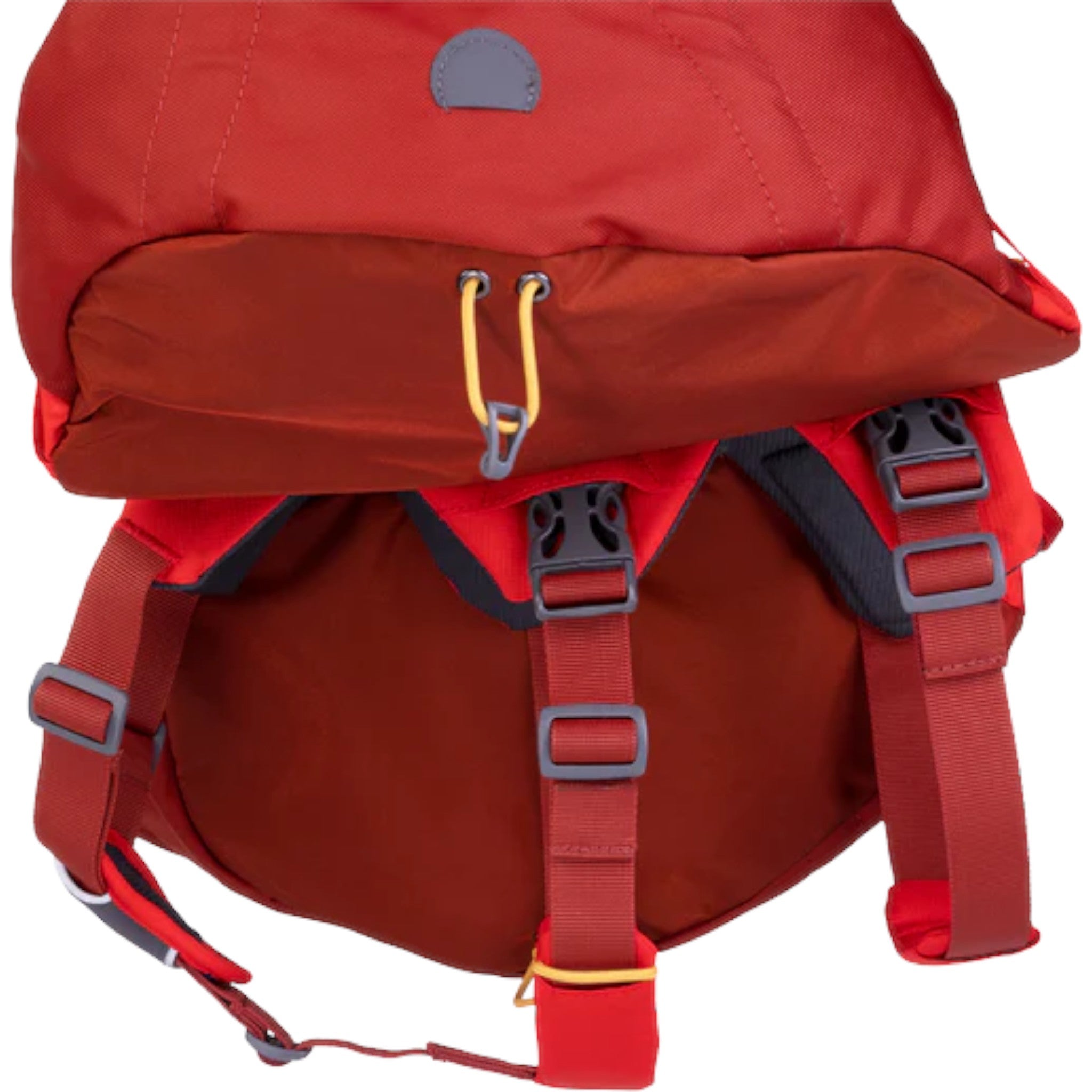 Ruffwear Palisades Dog Backpack - FERAL